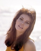Raquel Welch beautiful 1967 portrait in orange sleeveless top 4x6 photo - $6.99