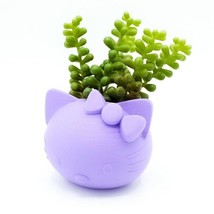 Hello Kitty Cat Kitten Succulent Planter Vase - £10.38 GBP