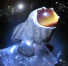 Haunted ARTISAN ring FLY TO YOUR HIGHEST SUCCESS HIGHEST LIGHT WITCH Cassia4  image 2