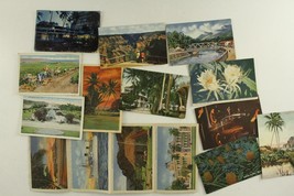 Vintage Paper Postcards 13PC Lot HAWAII Honolulu Pineapple Plantation Hotel View - £16.61 GBP