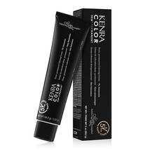 Kenra Demi-Permanent Color Rapid Toner SA Silver Ash Ammonia Free 2.05oz... - $227.22 MXN