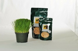 Lucy&#39;s Cat Grass, Gourmet and Sweet Buck Oats, 1 pound package - £15.00 GBP