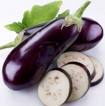 Eggplant Seeds Long Purple Heirloom Eggplants Non Gmo Oriental Eggplant ... - $9.29