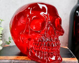 Occult Witchcraft Shrine Blood Red Acrylic Resin Translucent Skull Figur... - $47.06 CAD