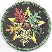 Primary image for Oak Leaf Pentagram Iron-on Patch 3"