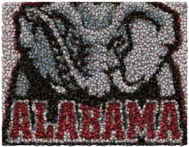 Alabama Crimson Tide Best Bar Game Dorm Room Sign EVER - £15.28 GBP