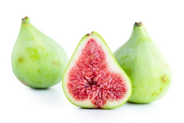 100 Adriatic Lattarula Fig Seeds Planting Fresh Seeds Gardening USA - $12.48