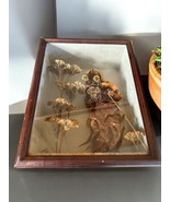 Vtg Wood Framed Shadow Box with Dried Flowers Old Woman Martine Collard-... - $90.31 CAD