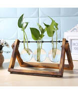 Glass Vase Tabletop Terrarium Hydroponics Plant Vases - $29.99