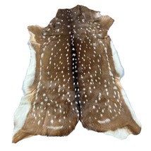 Axis Deer Skin Size: 40x33&quot; Axis-751 - $305.91