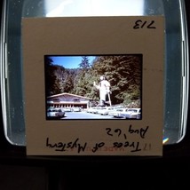1962 Trees Of Mystery Klamath CA Paul Bunyan Redwoods Found Slide Photo Original - £23.94 GBP