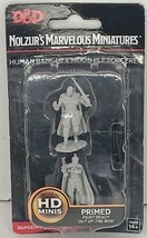 D&amp;D Nolzur&#39;s Marvelous Miniatures - Human Ranger &amp; Moon Elf Sorcerer Primed - $10.88