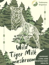 Wild Tiger Milk Mushroom Lignosus rhinocerus Respiratory Immune  60 caps - $22.49 CAD