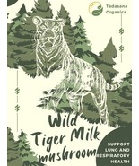 Wild Tiger Milk Mushroom Lignosus rhinocerus Respiratory Immune  60 caps - $22.63 CAD
