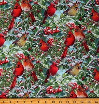 Cotton Cardinals &amp; Hollies Birds Snow Multicolor Fabric Print by Yard D506.95 - £11.69 GBP