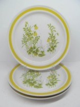 Chadds Ford Spring Meadow Stoneware 10 3/4&quot; Dinner Plates Bundle of 3 - $29.00