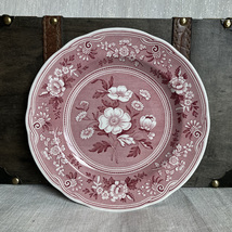 1820 Vintage Spode Archive Collection Georgian Series “Botanical” Plate - £19.98 GBP
