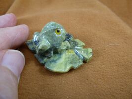 (Y-FRO-LP-169) little green Serpentine Frog on LEAF Gem gemstone FIGURIN... - $234.30 MXN