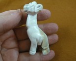 (Y-GIR-ST-702) white GIRAFFE gemstone carving FIGURINE giraffes stone st... - $24.99