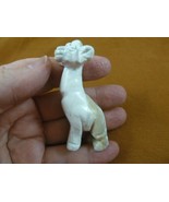 (Y-GIR-ST-702) white GIRAFFE gemstone carving FIGURINE giraffes stone st... - €21,31 EUR