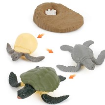 4 Pcs Sea Turtle Ocean Marine Animal Growth Life Cycle Model Figure Classroom Ac - £15.71 GBP