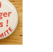 Vintage Pinback Button Ski Badger Pass Yosemite National Park California - $9.89