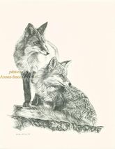 #136 two (2) FOXES  wild life art print * Pen &amp; ink drawing done by Jan ... - $12.38