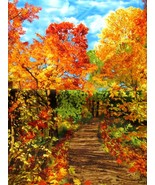 Fabric Timeless Panel &quot;A Walk in the Woods&quot; Autumn Foliage Woodsy Scene ... - £10.66 GBP