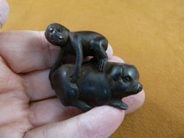 TNE-APE-MO-1) little Monkey on pig ride TAGUA NUT Netsuke nuts figurine ... - £22.04 GBP