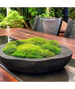 Preserved Pole Moss Pillow Bun Cushion Natural Green Decorative Real Nat... - $51.77