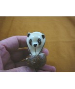(TNE-BEA-PA-209C) Panda BEAR TAGUA NUT Figurine Vegetable palm pandas - $589.02 MXN