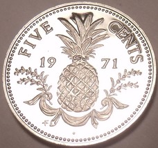 Rare Proof Bahamas 1971 5 Cents~Pineapple~1st Year Ever~31,000 Minted~Free Ship - £4.32 GBP