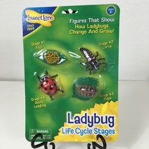 Ladybug Life Cycle Stages Figures Eggs Larva Pupa Adult Insect Lore Mode... - £13.42 GBP