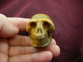 (HH-155) HUMAN SKULL Tan picture jasper gem stone carving I love skulls CRANIUM - $32.71
