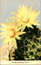 Hardy Hedgehog Cactus Postcard PC8 - £4.01 GBP