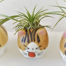 Air Plant in Cat Planter 3", Kitty Ceramic Pot with Emotion Face image 9