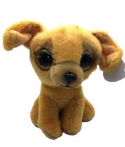 TY Beanie Babies Boos ZuZu Chihuahua Dog 6 inch DOB 11/11 - $9.95