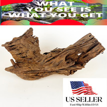 NATURAL MANGROVE DRIFTWOOD #M109 WYSIWYG - AQUASCAPING, SUPER PRICE!! DE... - $33.87 CAD