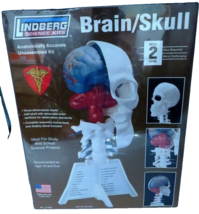 NIB Sealed 2007 Lindberg Brain/Skull Model Science Kit  Anatomically Cor... - £8.59 GBP