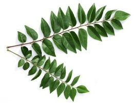 Organic Curry leaf Oil 10ml - $149.08 MXN