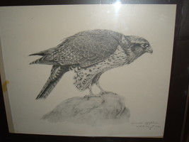 Dean Rocky Barrick 11/73 signed &quot;Female Gyrfalcon&quot; edition of 500  20 x 24 - £107.08 GBP