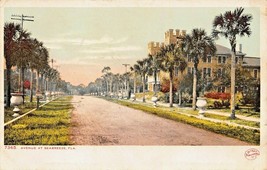 Seabreeze Daytona Spiaggia Florida ~ Palma Albero Foderato Avenue ~1910 Phostint - £8.01 GBP