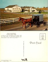 Pennsylvania(PA) Intercourse Plain &amp; Fancy Farm Horse Carriage VTG Postcard - £7.63 GBP