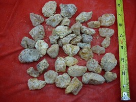 (k-4011) 200 g Rare Kauri tree Gum chips copal Amber New Zealand Tane Mahuta - £99.72 GBP