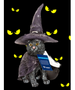 Black Cat with Witch Hat and Cape LED Light Up Cauldron Large 15&quot; Halloween - $809.56 MXN