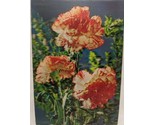 Vintage 1977 3D Flower Post Card To Ann From Dan Pili Rich Susan - £31.60 GBP