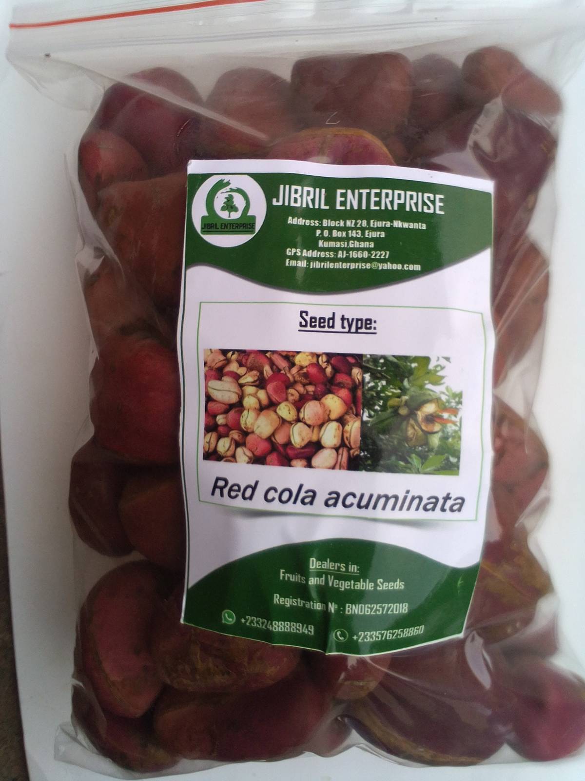 Red cola nut, Rubra(Cola nitida), 300g nuts cost(5 USD, shipping cost(10 USD), P Item image 3