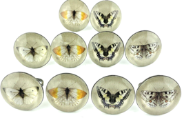 Demdaco Marjolien Bastin Butterflies Napkin Rings Set of 10 Nature&#39;s Journey - £17.96 GBP