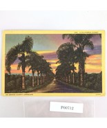 A California Sunset Orange County Landscape 1940s Linen Postcard CA PC 1952 - €11,01 EUR