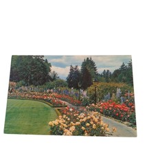 Postcard The Rose Garden The Butchart Gardens Victoria BC Canada Chrome Unposted - £5.46 GBP